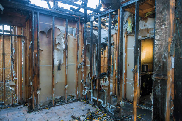 Professional Smoke Damage Removal technician working in Edgard, LA